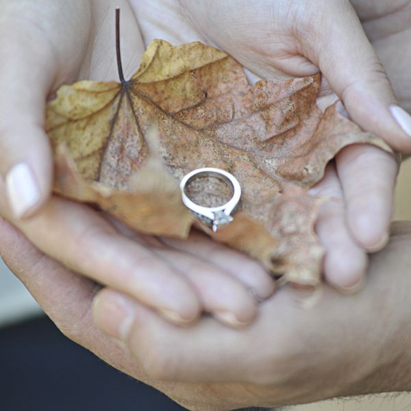 vaughan engagement photographer